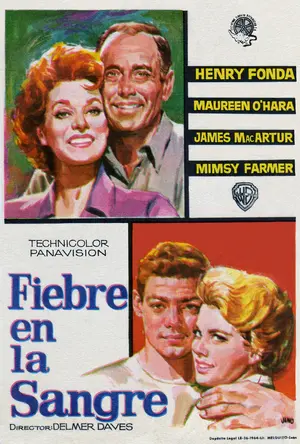 Spencer's Mountain Poster