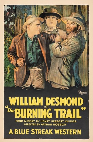The Burning Trail - Movie Poster (thumbnail)