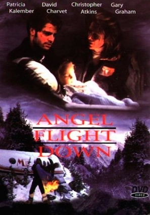 Angel Flight Down - Movie Cover (thumbnail)