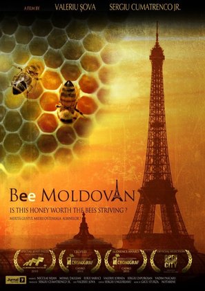 Bee Moldovan - Romanian Movie Poster (thumbnail)