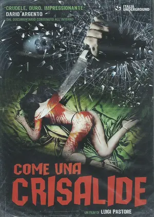 Come una crisalide - Italian DVD movie cover (thumbnail)