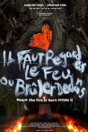 Il faut regarder le feu ou br&ucirc;ler dedans - French Movie Poster (thumbnail)