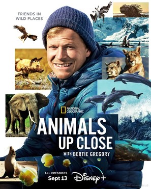 &quot;Animals Up Close with Bertie Gregory&quot; - Movie Poster (thumbnail)