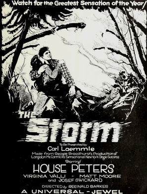 The Storm - Movie Poster (thumbnail)