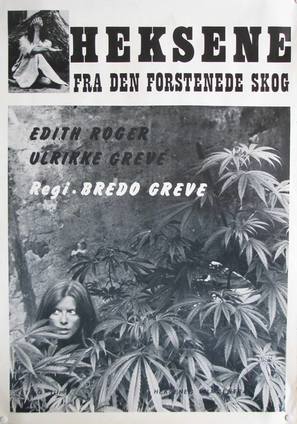 Heksene fra den forstenede skog - Norwegian Movie Poster (thumbnail)