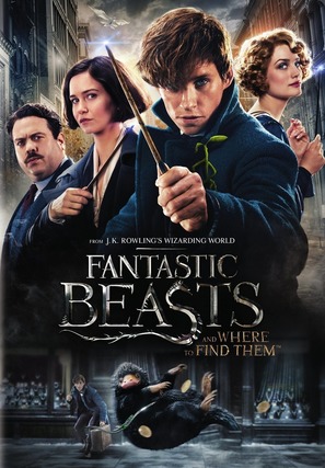 Fantastic Beasts and Where to Find Them - DVD movie cover (thumbnail)