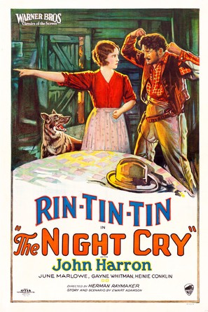 The Night Cry - Movie Poster (thumbnail)