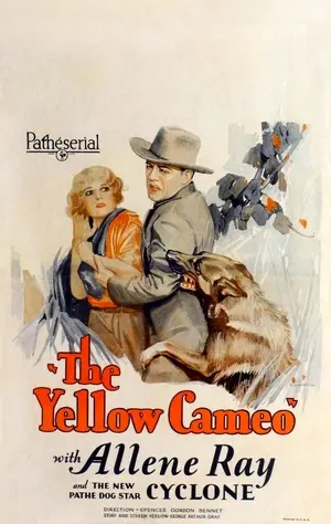 The Yellow Cameo Poster