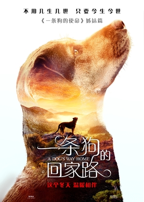 A Dog&#039;s Way Home - Chinese Movie Poster (thumbnail)