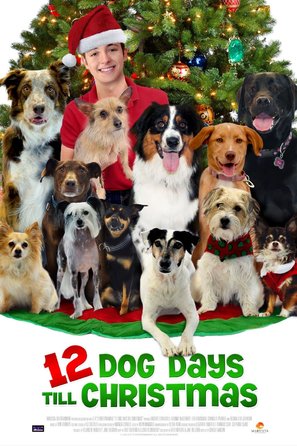 12 Dog Days of Christmas - Movie Poster (thumbnail)