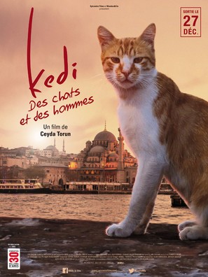 Kedi - French Movie Poster (thumbnail)