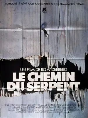 Ormens väg på hälleberget Poster