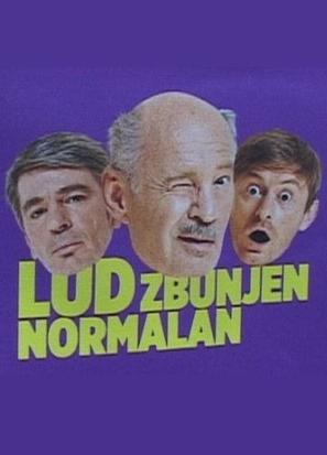 &quot;Lud, zbunjen, normalan&quot; - Bosnian Movie Poster (thumbnail)