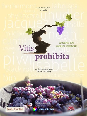 Vitis Prohibita - French Movie Poster (thumbnail)