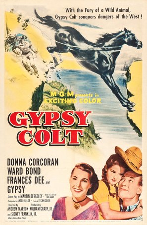 Gypsy Colt - Movie Poster (thumbnail)