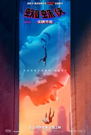 Spider-Man: Across the Spider-Verse - Chinese Movie Poster (thumbnail)