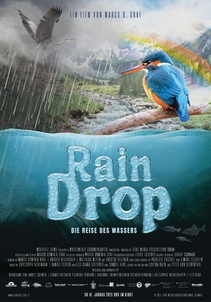 Raindrop - Swiss Movie Poster (thumbnail)