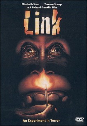 Link - DVD movie cover (thumbnail)