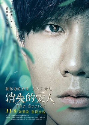 The Secret - Chinese Movie Poster (thumbnail)