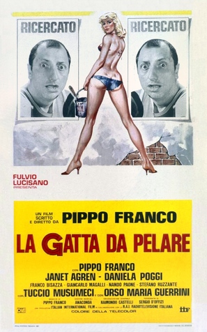 La gatta da pelare - Italian Theatrical movie poster (thumbnail)