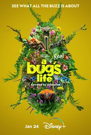 &quot;A Real Bug&#039;s Life&quot; - Movie Poster (thumbnail)