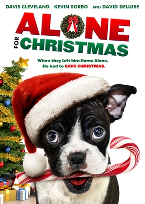 Alone for Christmas - DVD movie cover (thumbnail)