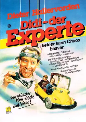Der Experte Poster