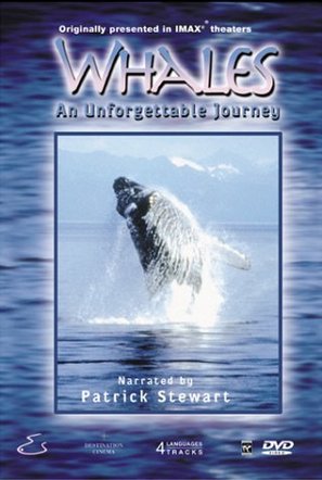 Whales: An Unforgettable Journey - DVD movie cover (thumbnail)