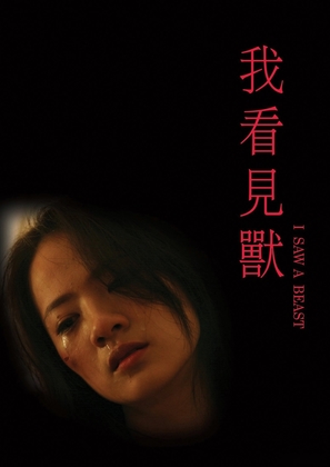 Wo kanjian shou - Taiwanese Movie Poster (thumbnail)