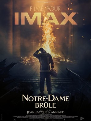 Notre-Dame br&ucirc;le - French Movie Poster (thumbnail)