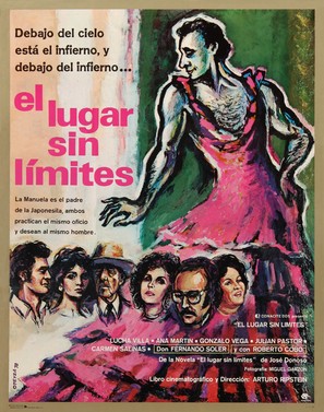 El lugar sin l&iacute;mites - Mexican Movie Poster (thumbnail)