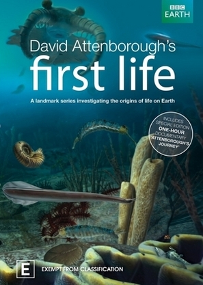 &quot;First Life&quot; - Australian DVD movie cover (thumbnail)