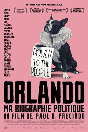 Orlando, ma biographie politique - French Movie Poster (thumbnail)