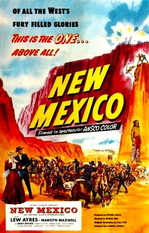 New Mexico - Movie Poster (thumbnail)