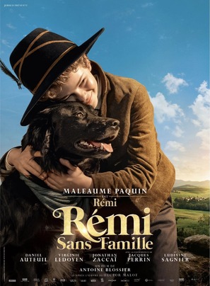 R&eacute;mi sans famille - French Movie Poster (thumbnail)