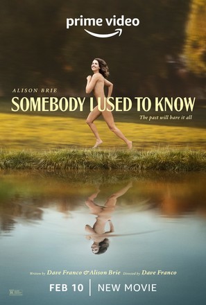 Somebody I Used to Know - Movie Poster (thumbnail)