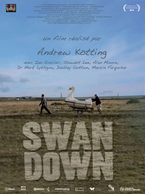 Swandown - French Movie Poster (thumbnail)