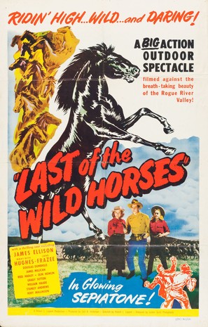 Last of the Wild Horses - Movie Poster (thumbnail)