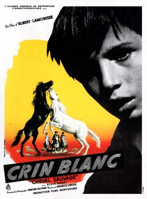 Crin blanc: Le cheval sauvage - French Movie Poster (thumbnail)
