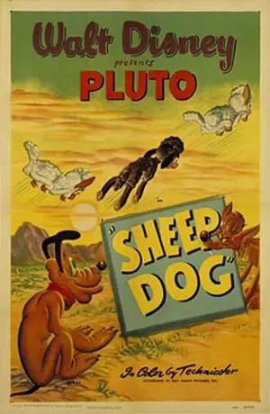 Sheep Dog Poster