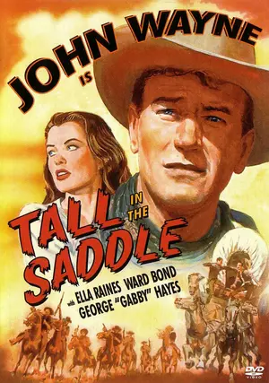 Tall in the Saddle - DVD movie cover (thumbnail)