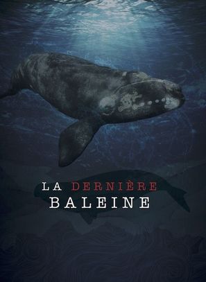 Le dernier chant de la baleine - Canadian Movie Poster (thumbnail)