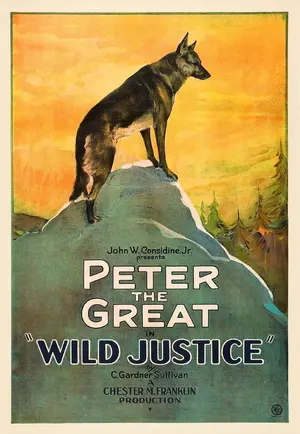 Wild Justice Poster