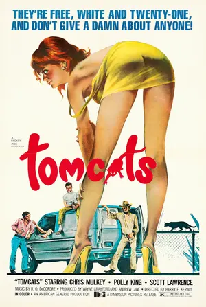 Tomcats Poster