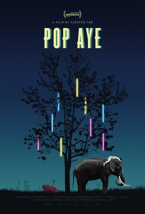 Pop Aye - Singaporean Movie Poster (thumbnail)