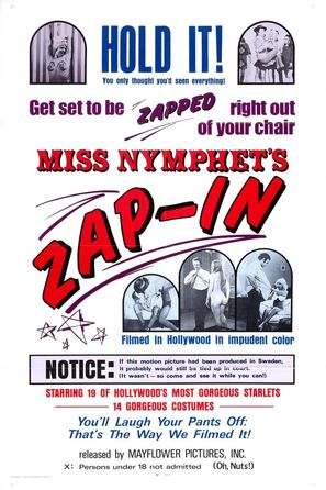 Miss Nymphet&#039;s Zap-In - Movie Poster (thumbnail)