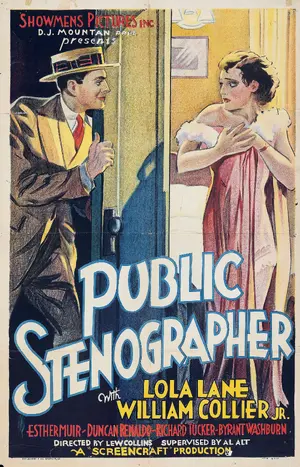 Public Stenographer Poster