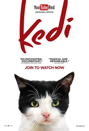 Kedi - Movie Poster (thumbnail)