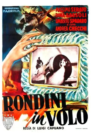 Rondini in volo Poster
