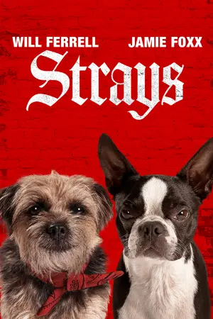 Strays - Movie Cover (thumbnail)